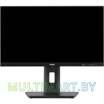 Монитор Iiyama ProLite XUB2293HSU-B6